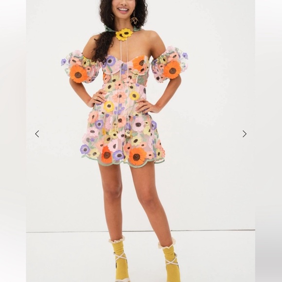 For Love & Lemons Floral Embroidered Sheer Mini Dress in Pastel Multi - Picture 3 of 11